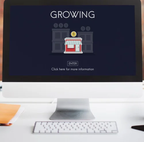 Tailored Web Designs for Growth images